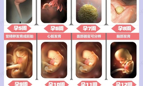 血压低吃驴肉管用吗-血压低吃驴肉管用吗、血压低吃驴肉管用吗 -低血压可以吃驴胶补血颗粒网