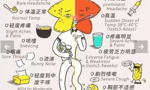 高血压能吃驴胶补血吗-血压低吃驴肉管用吗、血压低吃驴肉管用吗 -低血压可以吃驴胶补血颗粒网
